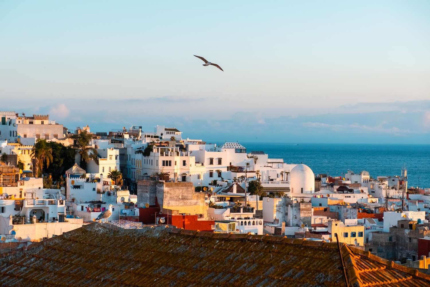 Tangier-medina-at-dawn